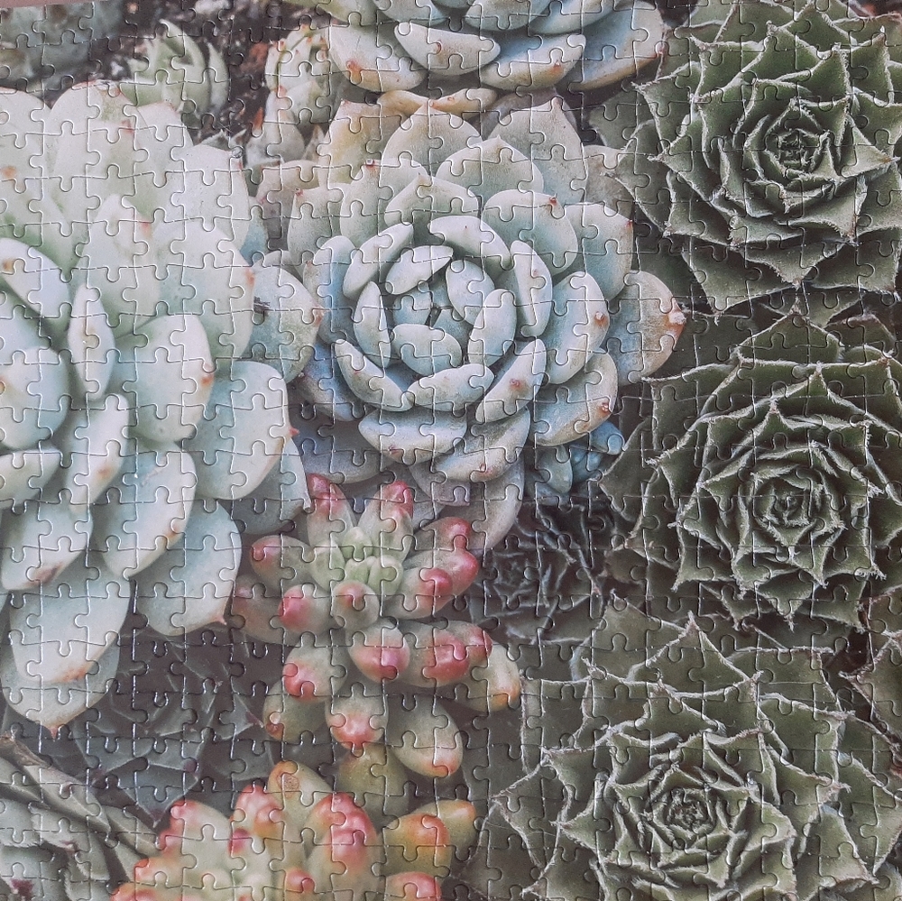 Galison Succulent Garden 500 Piece Double Sided Puzzle - Picture 4 of 4